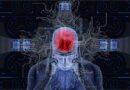 Intelligence Artificielle - Nobelia